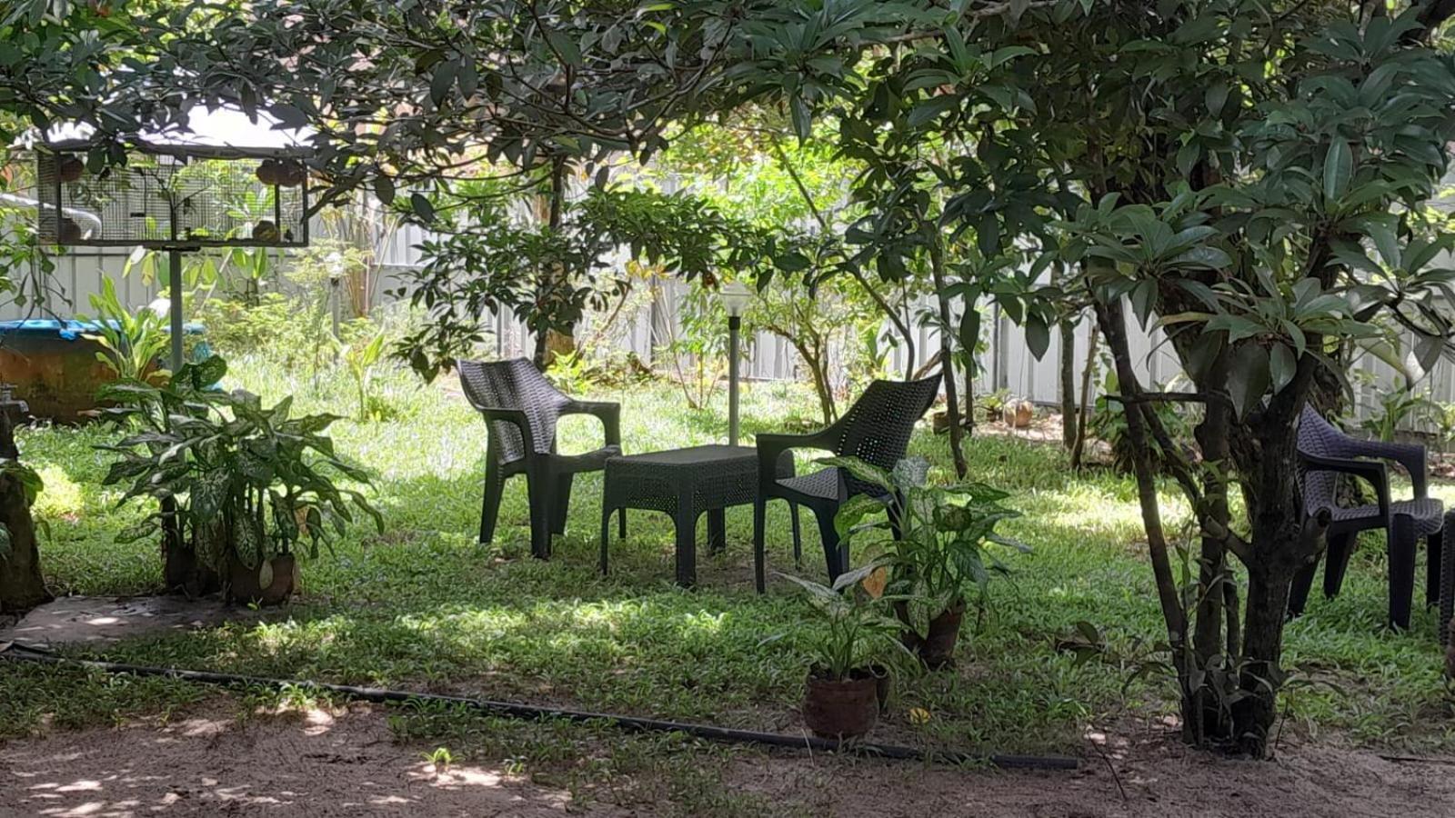 מאראריקולם Marari Adonis Beach Villa מראה חיצוני תמונה