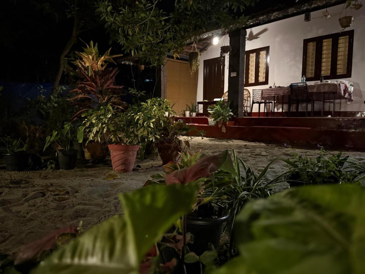 מאראריקולם Marari Adonis Beach Villa מראה חיצוני תמונה
