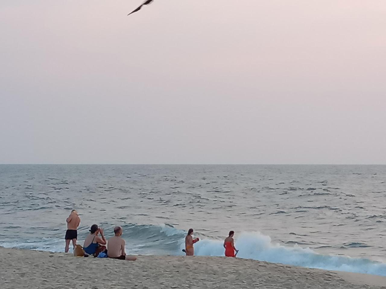 מאראריקולם Marari Adonis Beach Villa מראה חיצוני תמונה